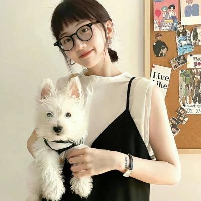 黑色档案在线观看