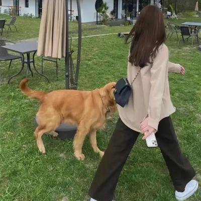 狐妃,别惹火在线观看